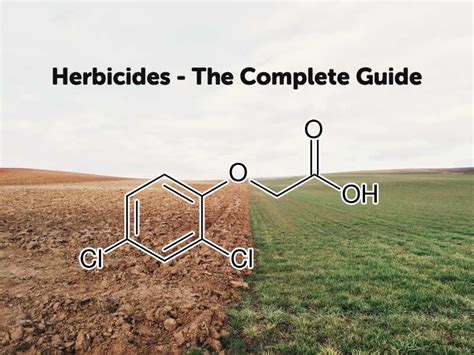 Herbicides – The Complete Guide – FarmerDB