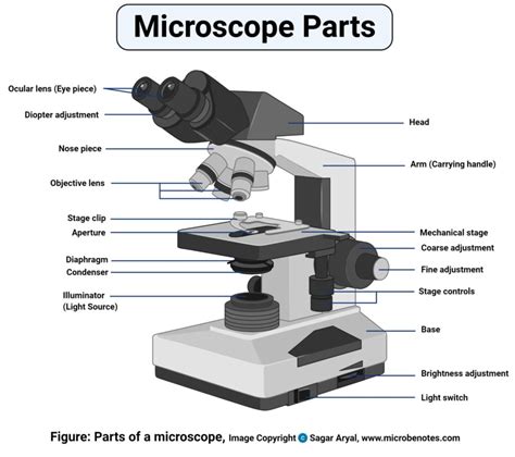 Microscope Lab