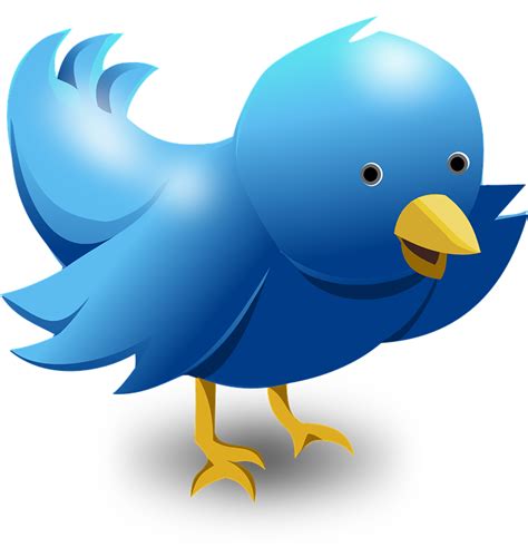 500+ Twitter LOGO - Latest Twitter Logo, Icon, GIF, Transparent PNG