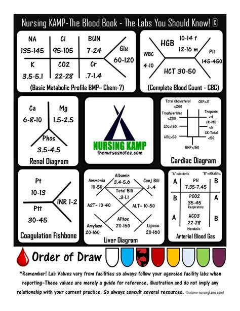 The Lab Sheet | Medical surgical nursing, Nursing mnemonics, Nursing labs