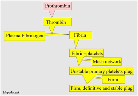 Coagulation:- part 4 - Partial Thromboplastin Time (PTT) - Labpedia.net