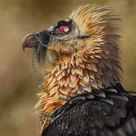 Bearded Vulture | Bearded vulture, Vulture, Vulture culture