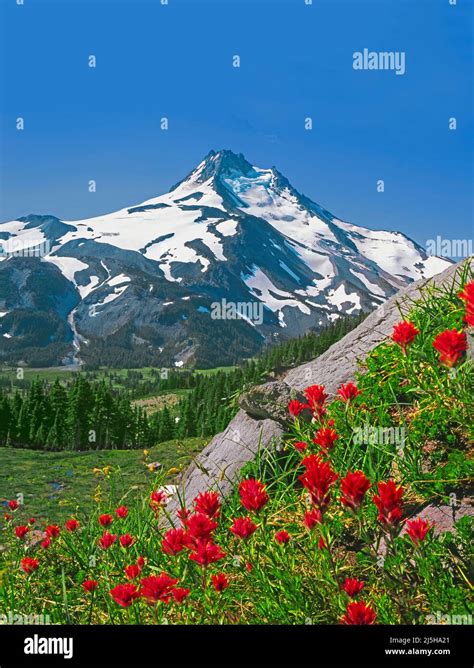 Mount Jefferson, Cascade Range, Oregon Stock Photo - Alamy