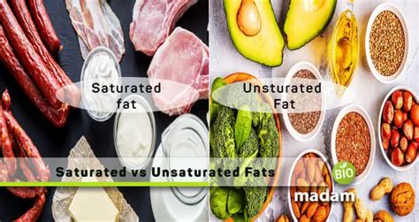 Difference between Saturated and Unsaturated Fats - biomadam