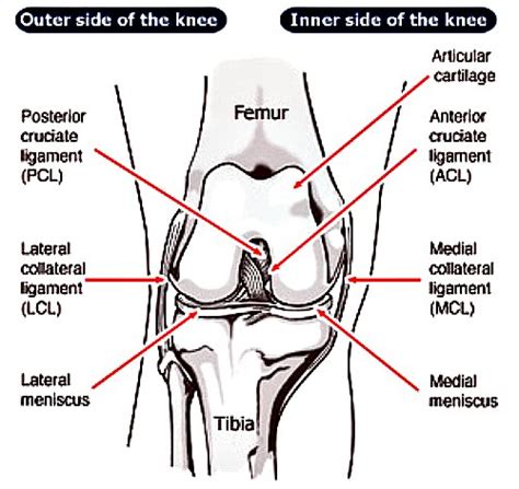 MCL Knee Injury