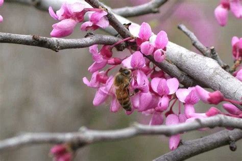 Jesse H. Jones Park & Nature Center is one of the very best things to ...