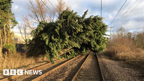 UK gale damage: Images of destruction after high winds