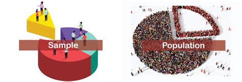 Difference Between Population and Sample - javatpoint