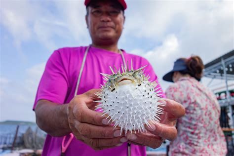 Where to Try Fugu in Japan That Is Safe and Expertly Prepared