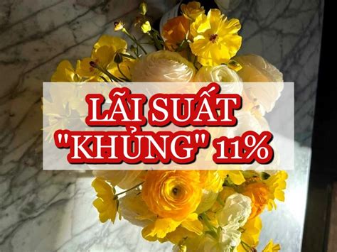 Lãi suất ngân hàng hôm nay 9.9: Gửi đâu để hưởng lãi "khủng" 11%