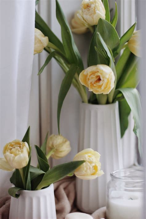 Tulip Bouquet Photos, Download The BEST Free Tulip Bouquet Stock Photos ...