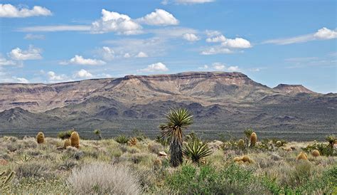 Arid and Semi-arid Region Landforms - Geology (U.S. National Park Service)