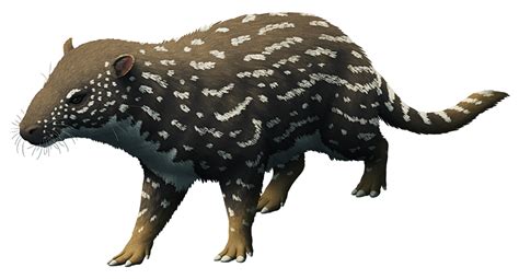 Phenacodus primaevus, a mammal from the Late Paleocene to Middle Eocene of North America and ...