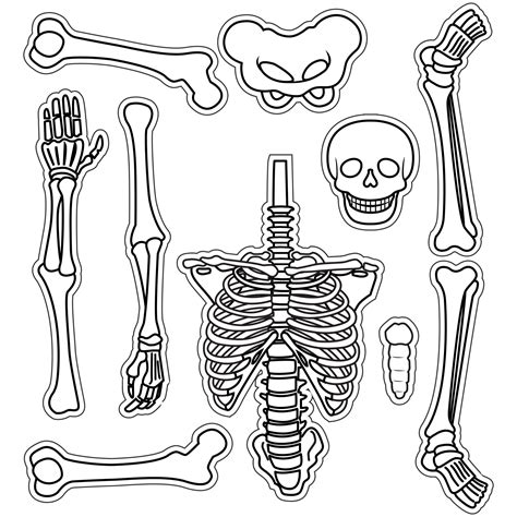 Cut Out Printable Skeleton Bones Template - Printable Templates