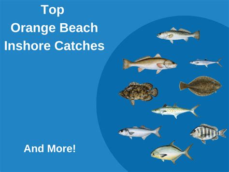 Inshore Fishing in Orange Beach: The Complete Guide (Updated 2022)