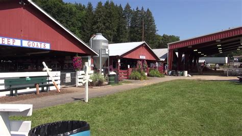 Wayne County Fair opens, vaccinations available | wnep.com