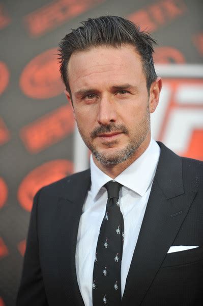 David Arquette | Friends Central | FANDOM powered by Wikia