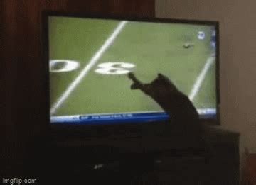 Cat football - Imgflip