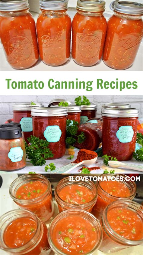 Tomato Canning Recipes for a Good Garden Harvest - ilovetomatoes.com