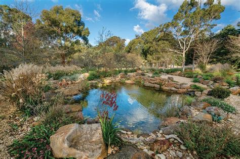 Billabong Construction in Australia - POND Trade Magazine