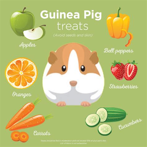 Guinea Pig Care: What Can Guinea Pigs Eat | Petco