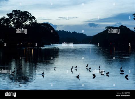 Kandy lake hi-res stock photography and images - Alamy