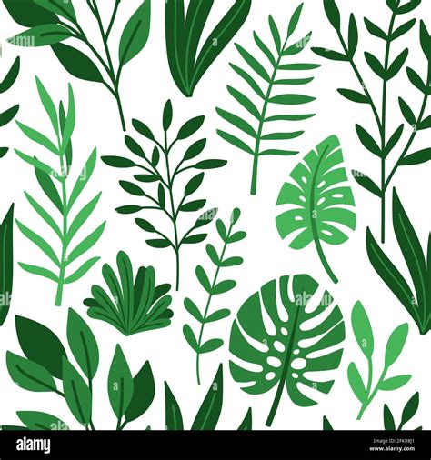 Tropic palm green leaves drawing pattern. Tropical seamless background ...