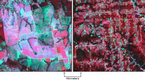 1. False color satellite image showing the spectral similarities and... | Download Scientific ...