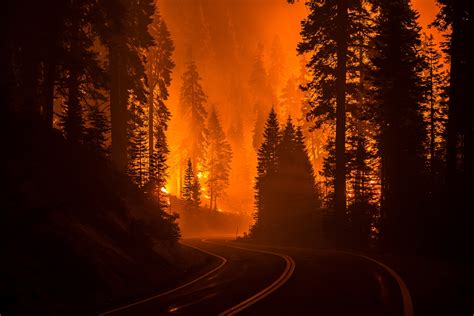 How climate change supercharges wildfires in the West