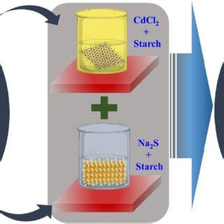 Schematic representation of the starch-assisted synthesis of CdS NPs ...