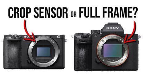 FRAME CAMERA OR CROP SENSOR ? What is the BEST! - YouTube