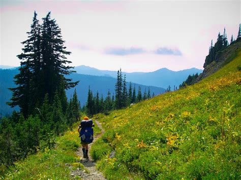 The Wonderland Trail on the Wonderland Trail - A photograph journey ...