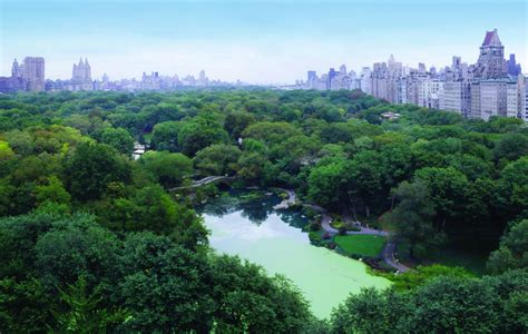 View of Central Park from The Plaza | Plaza hotel, New york hotels, New ...