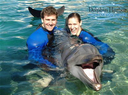 Dolphin Odyssey at the Miami Seaquarium | Dolphins, Southeast region ...