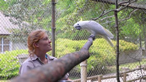 REFRESH: Animal Encounters at the Baton Rouge Zoo - Sulphur-Crested ...