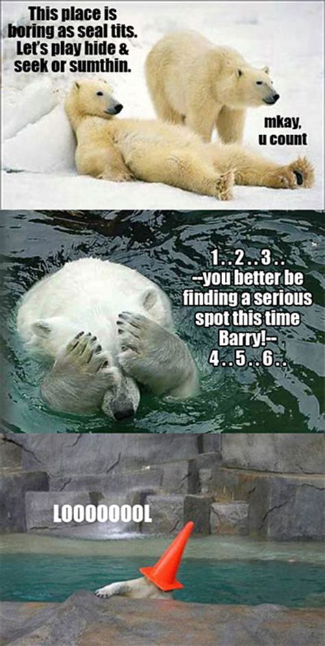 Polar Bear Quotes. QuotesGram