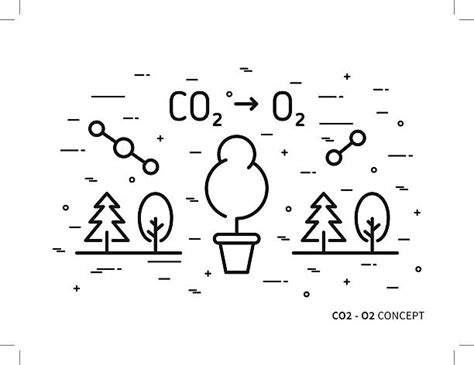 Best Carbon Dioxide Molecule Illustrations, Royalty-Free Vector Graphics & Clip Art - iStock