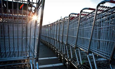 What Are the Different Types of Shopping Carts?