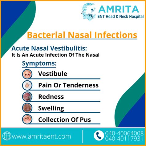 Nasal Vestibulitis - Bacterial Nasal Infection Symptoms Nasal Infection ...