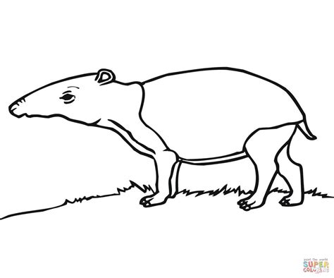 Tapir coloring page | Free Printable Coloring Pages