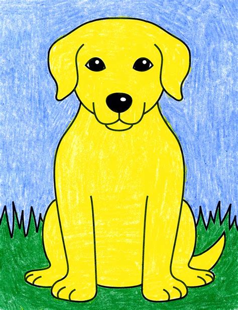 Easy How to Draw a Labrador Tutorial and Labrador Coloring Page