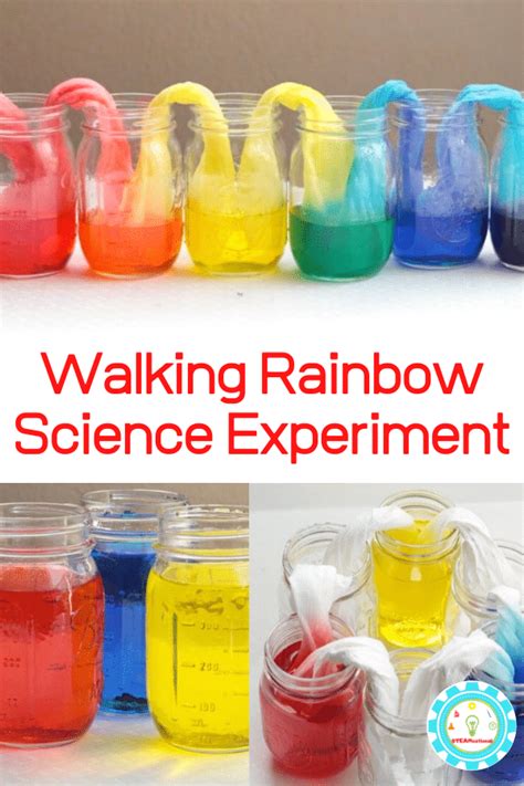 Kids will love making their very own walking rainbow experiment from ...