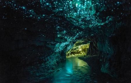 Te Anau Glow Worm Caves, Queenstown | Ticket Price | Timings | Address ...