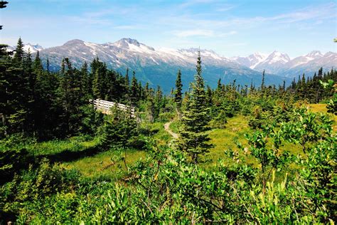 Skagway — A Borough In Alaska - Wandering | Skagway, Beautiful ...