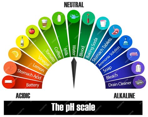 Free Vector | The ph scale on white