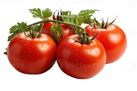 Tomatoes fresh transparent background cutout 46975783 PNG