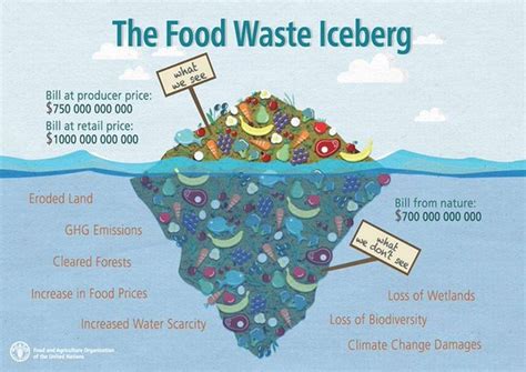 Food Waste - EVO Conversion Systems X JM Green