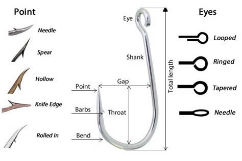 Anatomy of a fishing hook Fishing Lures, Fly Fishing, Different Types ...