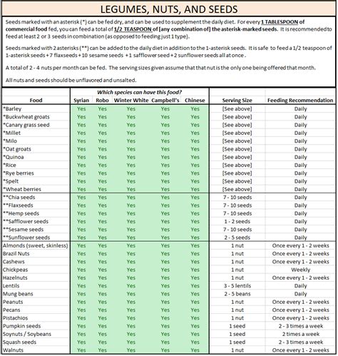 [HAMSTER NUTRITION V] Safe Fruits, Vegetables, and Other Dietary Supplements (With images ...