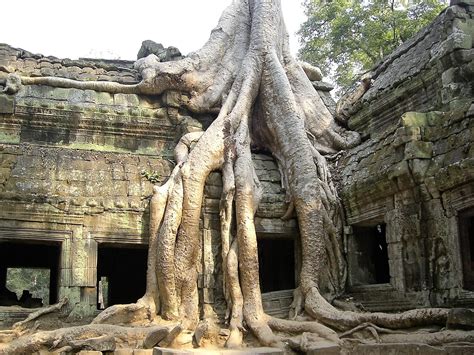 Free Images : tree, old, monument, formation, statue, ruin, place of ...